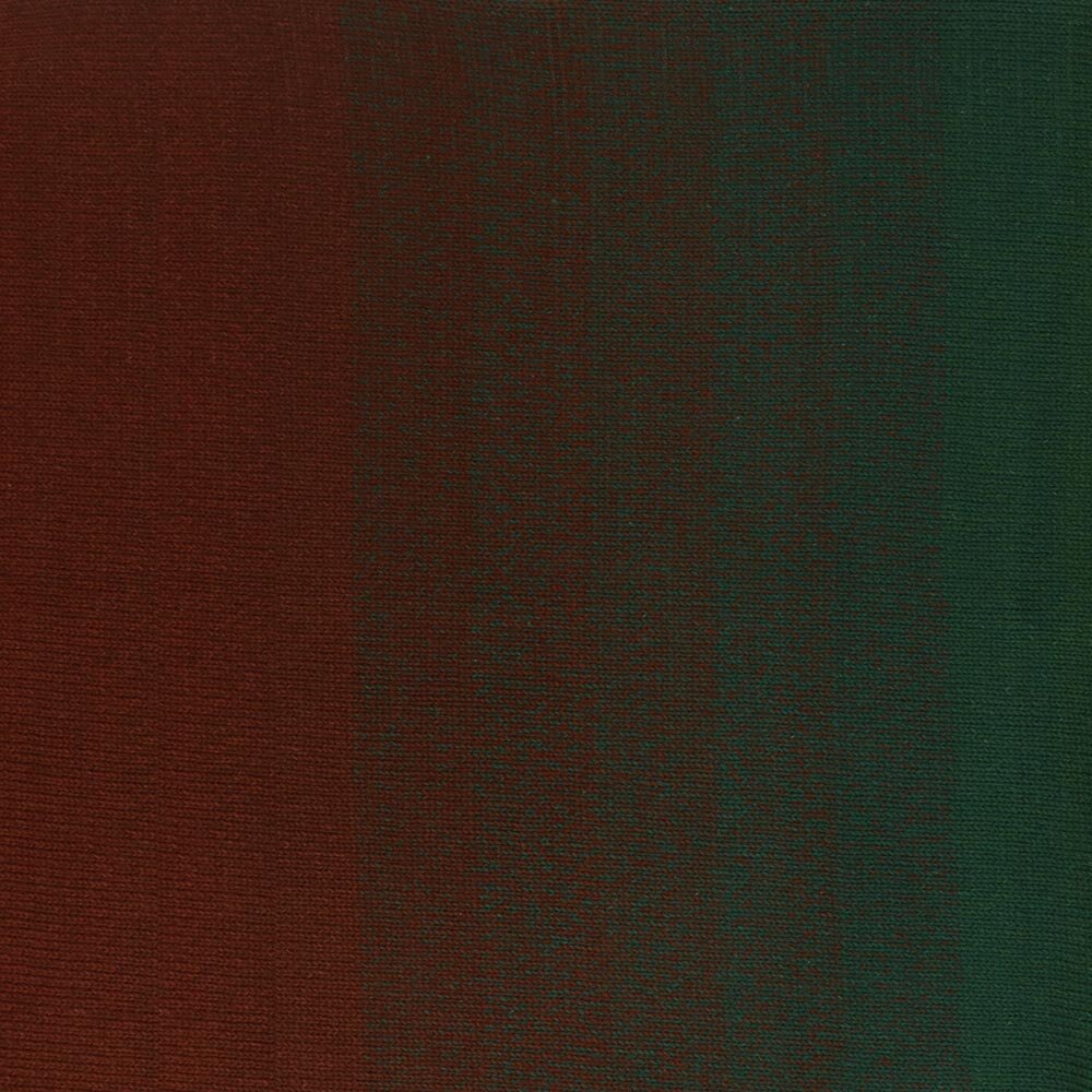 Scheepjes Cotton Whirl 727 Woodland Walk