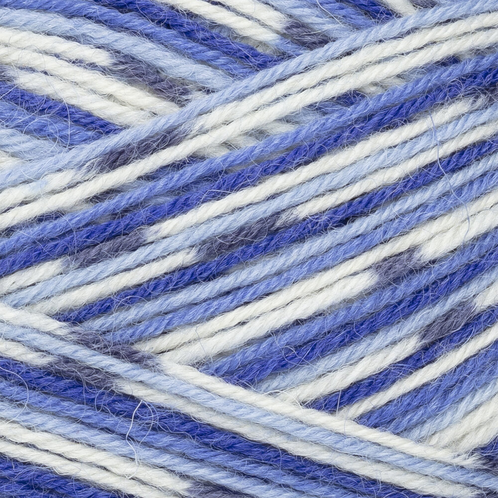 Viola Flora 8341 Iris