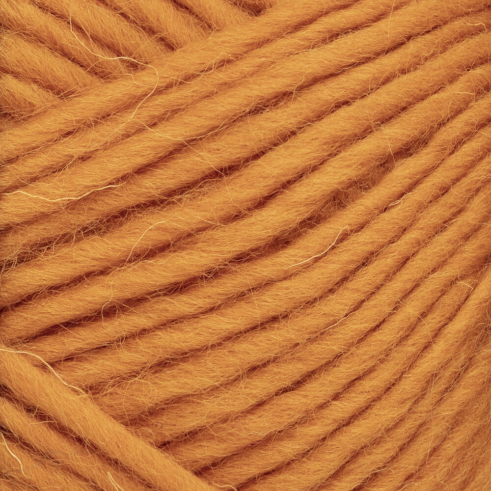 Hygge Chunky 273 Brittlegill