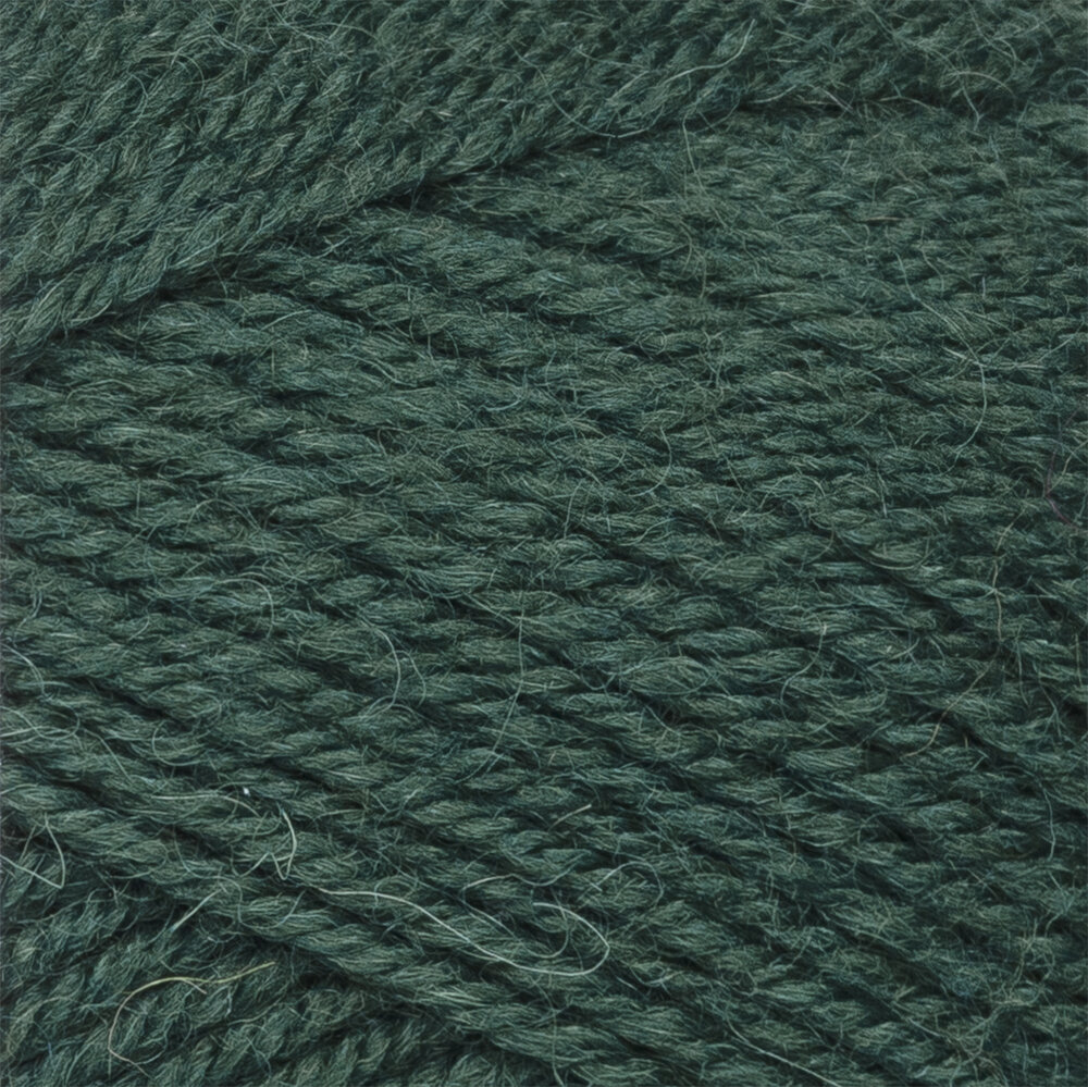 7 Veljesta 375 Bergenia