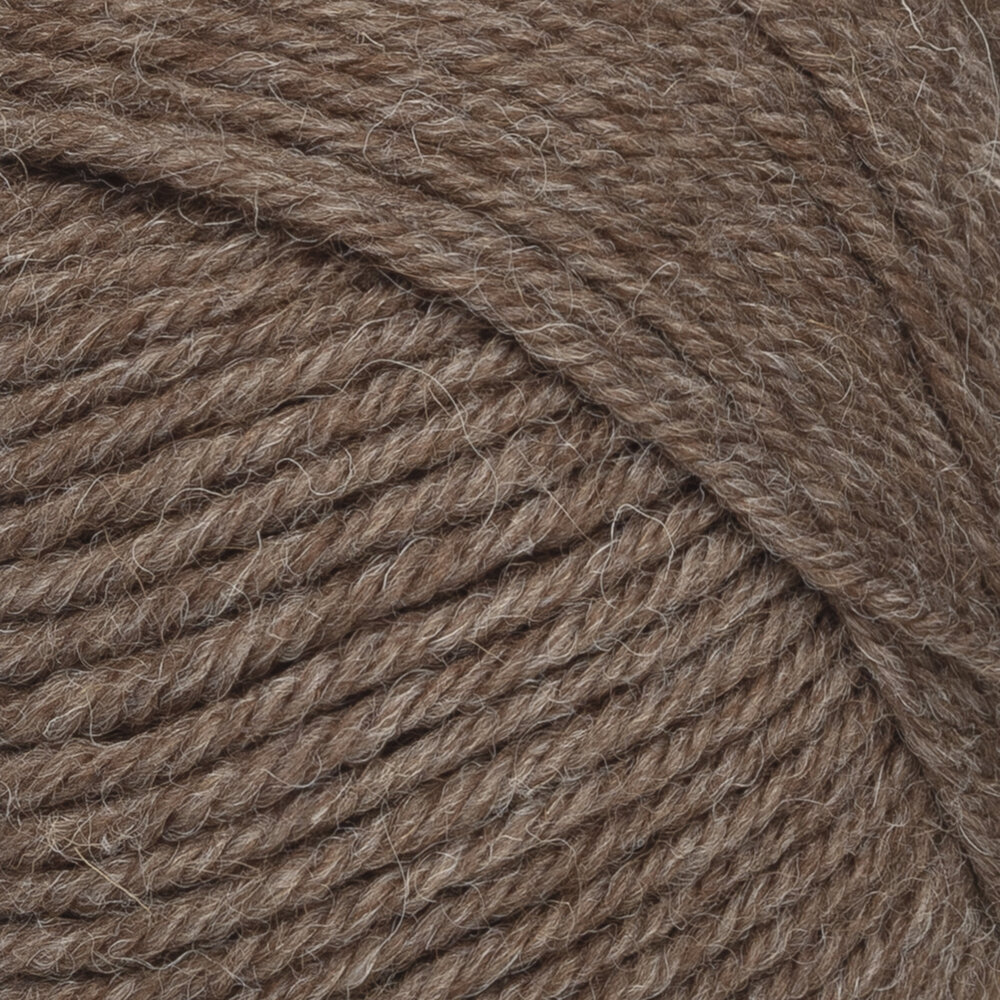 7 Veljesta 068 Wild Mushroom