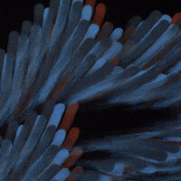 Fall Leaves by Thorsten Berger