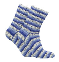 Viola Flora 8341 Iris