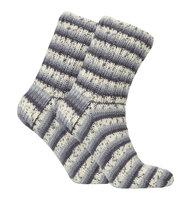 Viola Flora 8361 Black Tulip