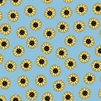 Sunny Honey Charmpack