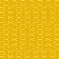 Sunny Honey Charmpack