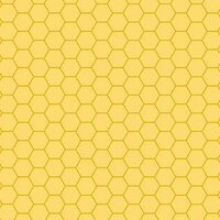 Sunny Honey Charmpack