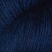 SS2003 Delhi Blue