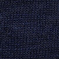 SS2003 Delhi Blue