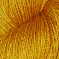 SS2006 Turmeric