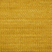 SS2006 Turmeric