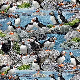 North American Wildlife, Puffins Blue