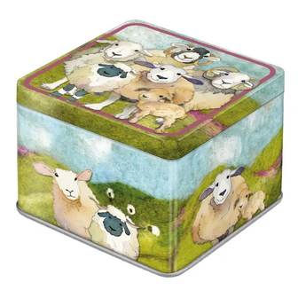 Gevilte Schaap . Kleine Vierkante Blik