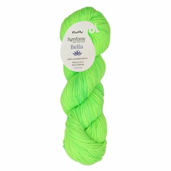 SS4028 Electric Lime
