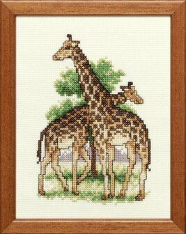 Borduurpakket van twee giraffen