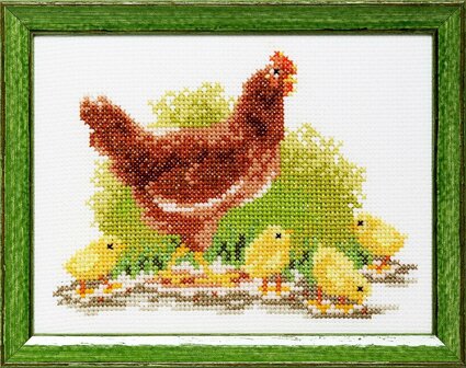 Borduurpakket kip met kuikens