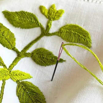 Pony Black Chenille naalden gekleurd oog nr.22-28