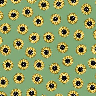 Sunny Honey Charmpack