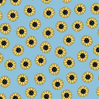 Sunny Honey Charmpack