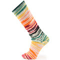 Symmetric Socks &amp; More Crasy 102