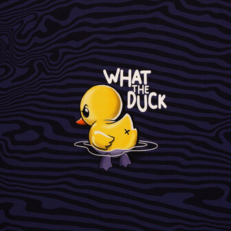 What's the Duck, Thorsten Berger