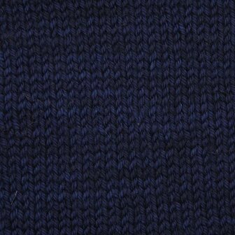 SS2003 Delhi Blue