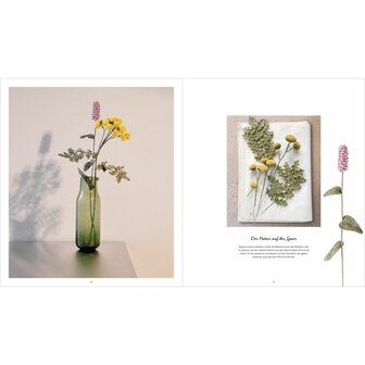 Ricorumi In The Meadow Haakboek | Rico Design