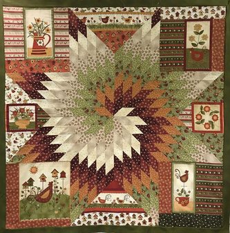 Star struck chicken quiltpatroon