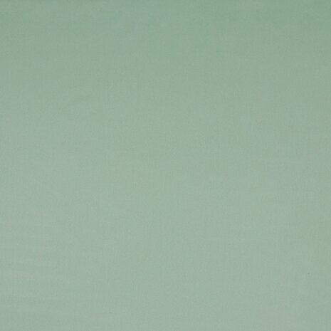 Royal Micro Satin Soft mint
