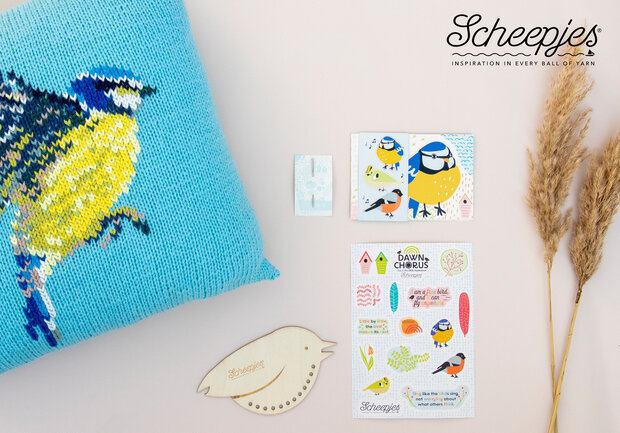 Scheepjes CKAL Blue Tit Cushion kit