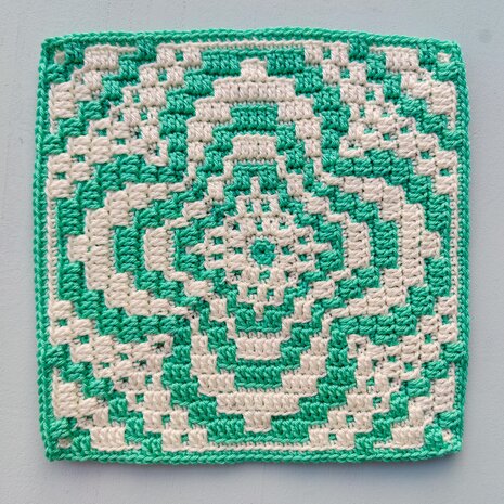 Workshop Mozaïek Haken – Zaterdag 14 juni 2025
