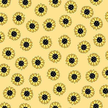 Sunny Honey Charmpack