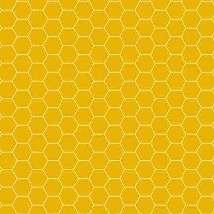 Sunny Honey Charmpack