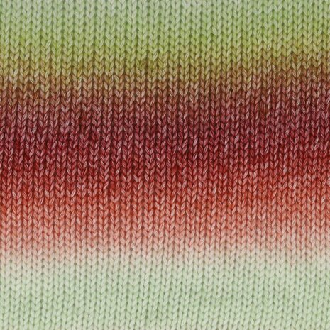 Stone Washed Flow XL 17 Yuletide