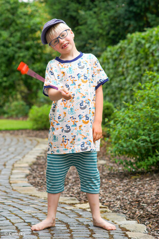 Parrots by Bienvenido Color