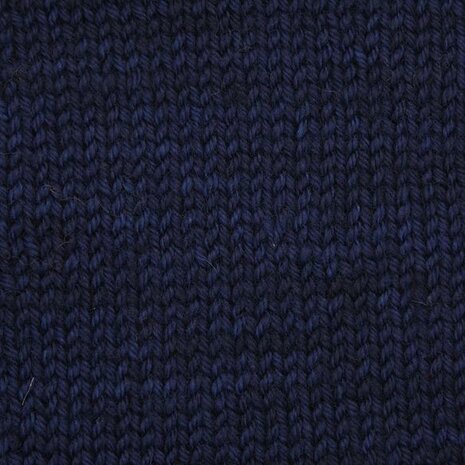 SS2003 Delhi Blue