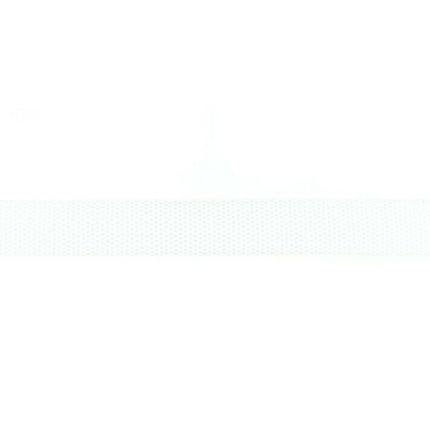 tassenband wit 25 mm