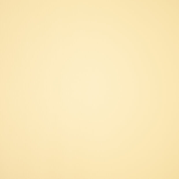 Sweet Macaron Yellow