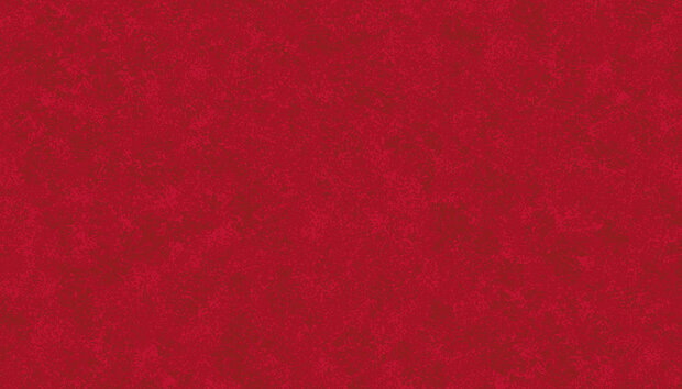 Spraytime Christmas Red