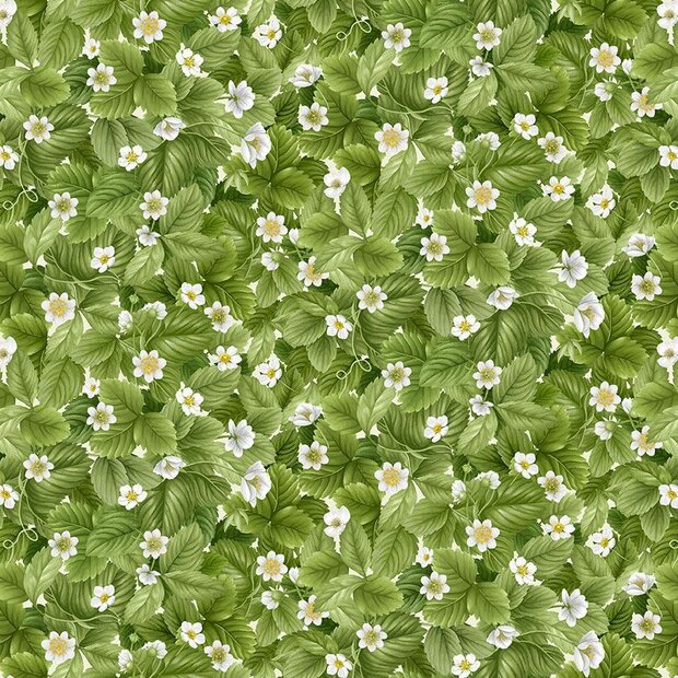 Packed Strawberry Leaves Green