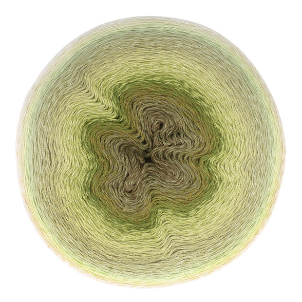 Scheepjes Mega Whirl 401 Moodychrome