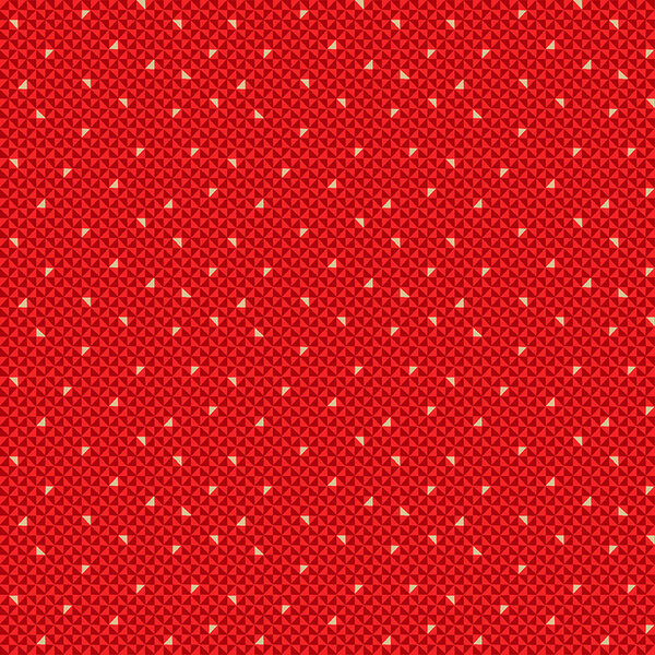 Christmas Santa Express SE Geo Red