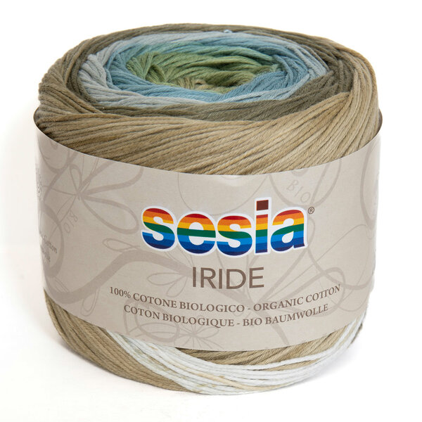 Iride 4981 Oasi