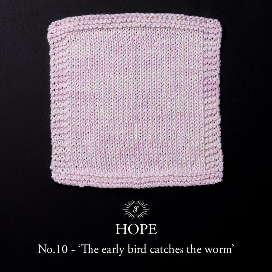 Simy&#039;s Hope SOCK 1x100g - 10 The early bird catches the worm