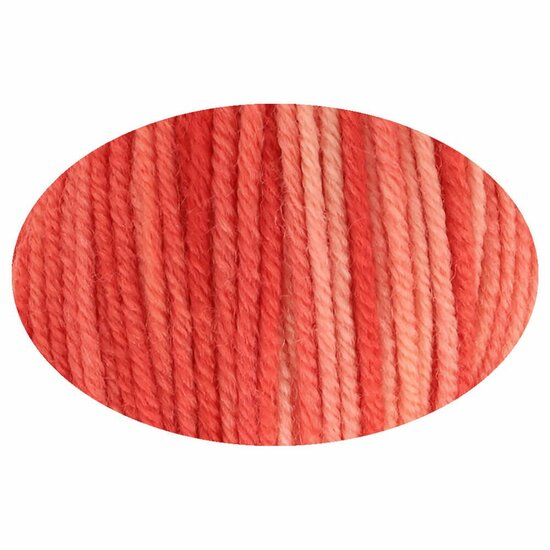 Simy&#039;s Hope SOCK 1x100g - 12 Tomorrow is another day