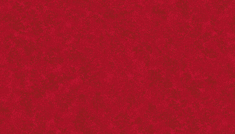 Spraytime Christmas Red