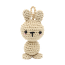 Mini Konijn