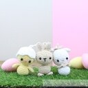 Mini Kuiken