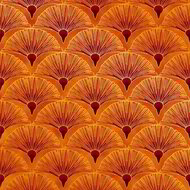 Melba, Fan Orange
