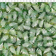 Terrarium Ferns